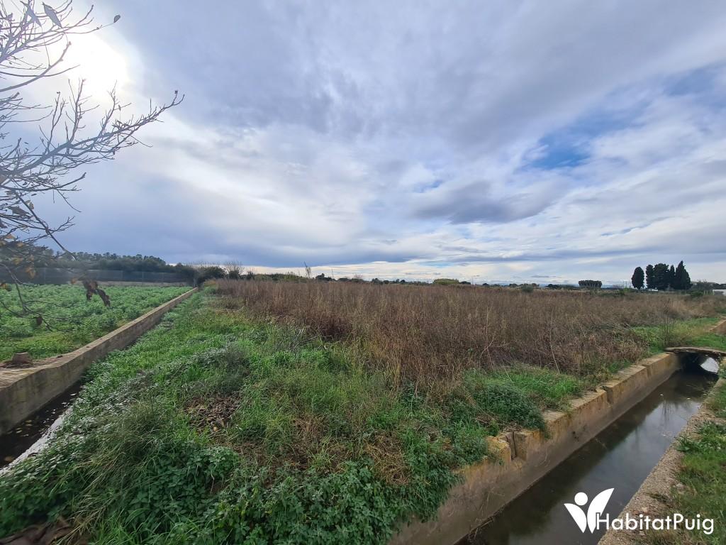 VENTA DE PARCELA RUSTICA