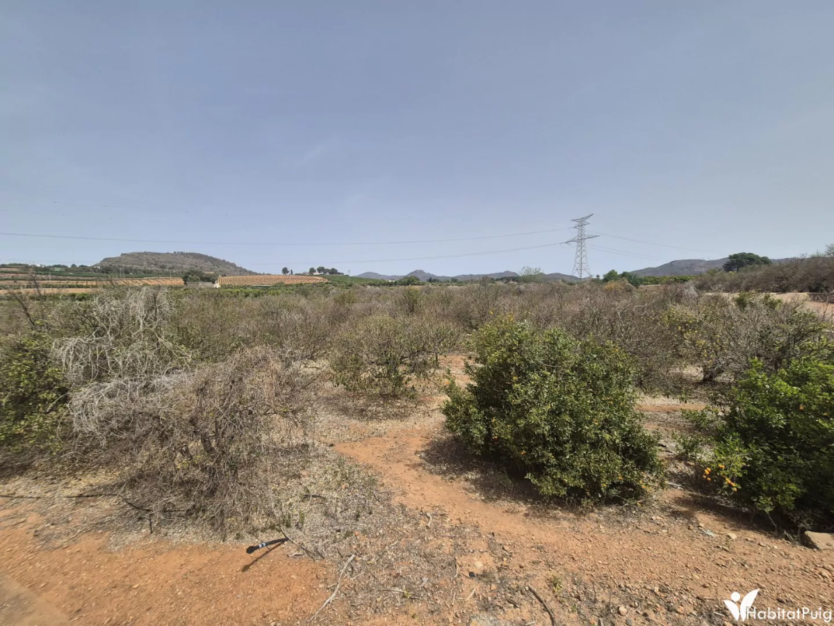 Finca rustica en venta en El Puig
