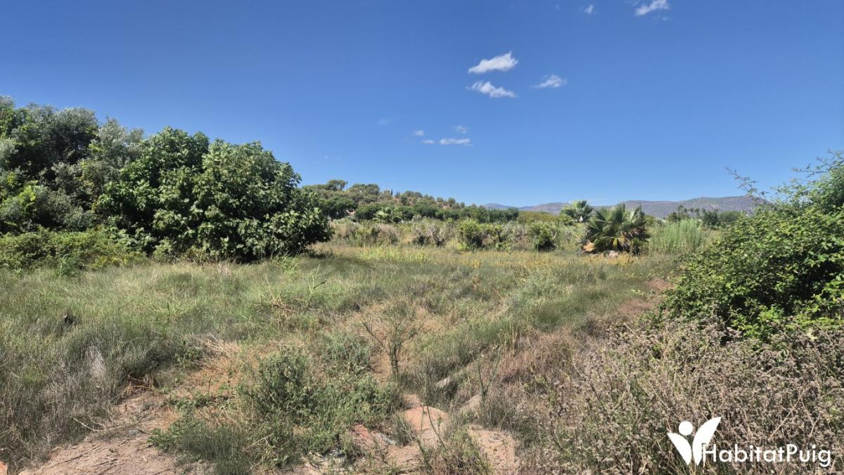 VENTA DE PARCELA RUSTICA EN EL PUIG