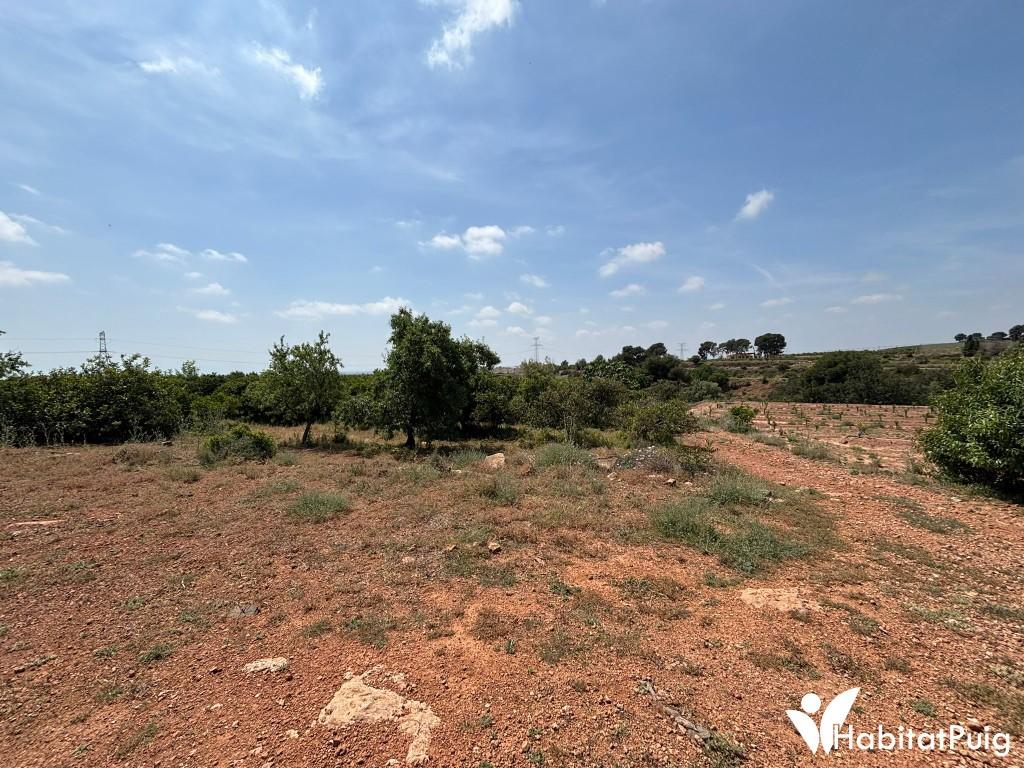 FINCA RUSTICA EN EL PUIG