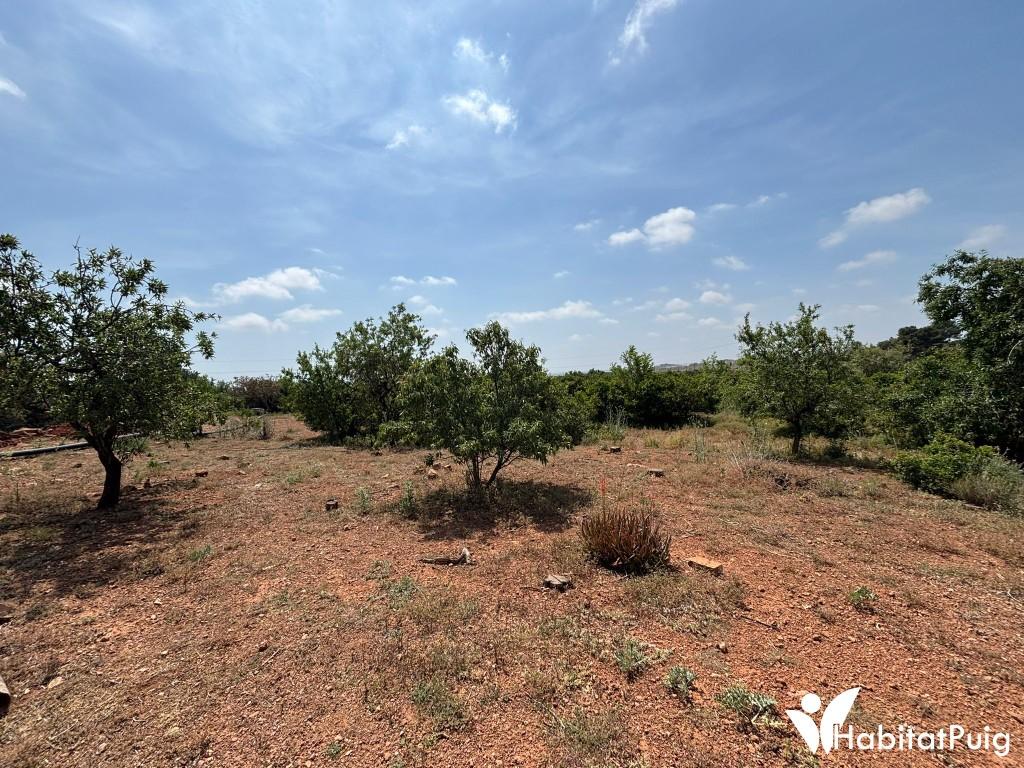 FINCA RUSTICA EN EL PUIG