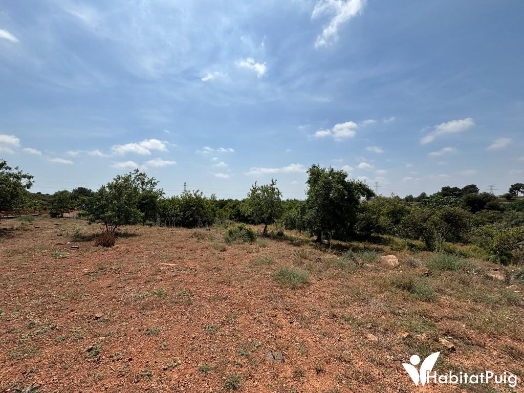 FINCA RUSTICA EN EL PUIG