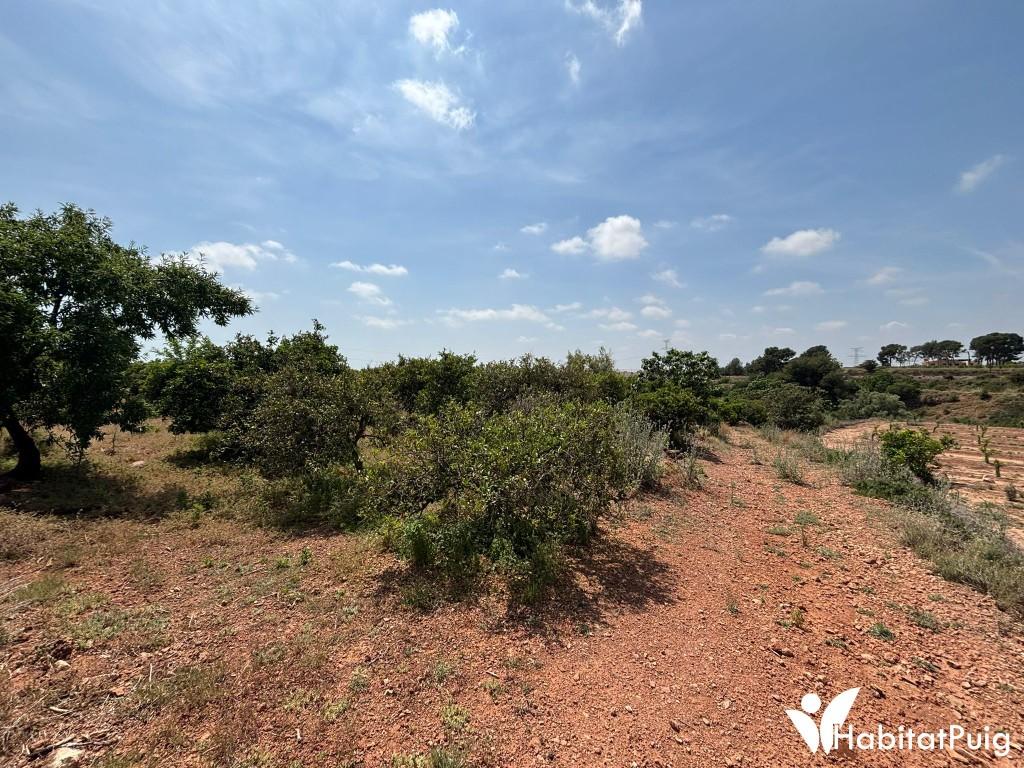FINCA RUSTICA EN EL PUIG